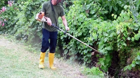 Gardener cutting the grass Stock Footage 68786144