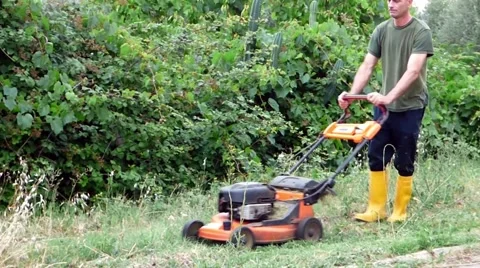 Gardener cutting the grass Stock Footage 68786478
