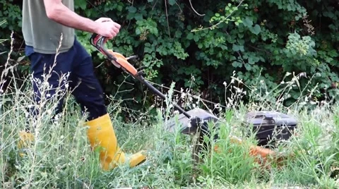 Gardener cutting the grass Stock Footage 68786487