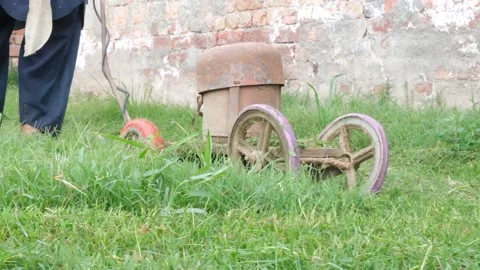 Gardener cutting grass with with Grass machine Video stock 194277676