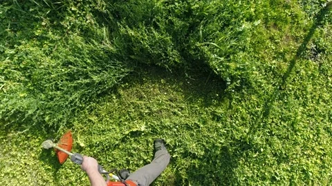 Gardener cutting grass with lawn string trimmer Stockbeeldmateriaal 158024772