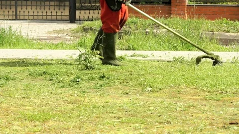 Gardener cutting grass using lawnmower outdoors 스톡 동영상 77630567