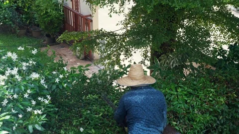 Gardener cutting tree branches in garden with tree trimming machine. Vídeo Stock 251300928