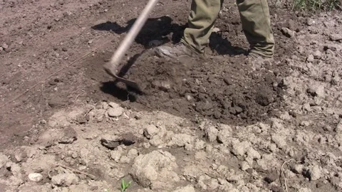 Gardener digging in the garden 01 Stock Footage 166458517