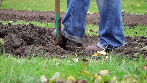 Gardener digging in a garden with a spade, spring gardening Stock Footage 82690419