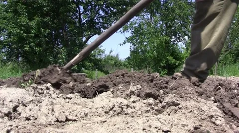 Gardener digging the ground. After the soil is dug, the gardener uses a rake Stock Footage 59756403