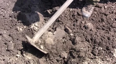 Gardener digging the ground. To have a healthy garden and a bountiful harvest Stock Footage 59757296