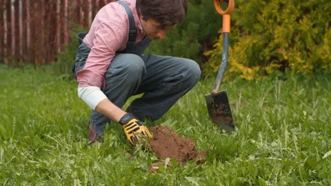 Gardener digging ground on a lawn in the yard Stock Footage 130773789