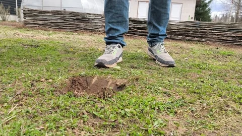 Gardener Digging Ground for Planting Tree or Plant in Backyard.Original sound 스톡 동영상 333104288