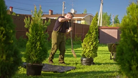 Gardener digging a hole in the backyard for planting a tree Stock Footage 335898312