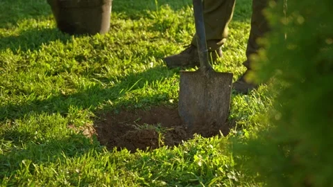 Gardener digging hole in green grass with a shovel Stock Footage 335901525