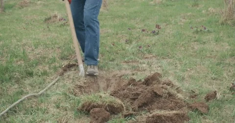 Gardener digging pit with spade. Stock Footage 238525731