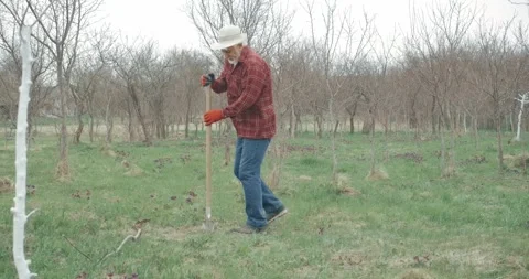 Gardener digging soil with spade. Stock Footage 249270477