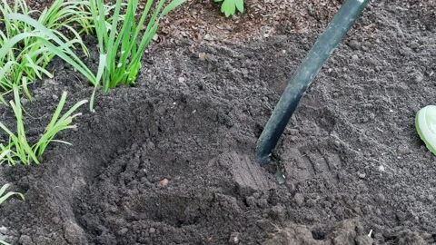A gardener digs a flower bed with a spade. Slow motion video. Video stock 196622673
