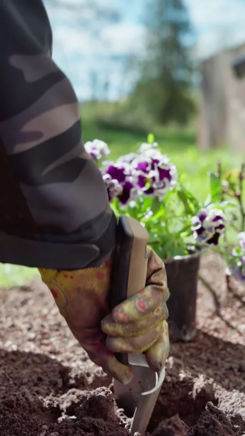 A gardener digs a hole in a bed with a small shovel in spring to plant flowers. Stock Footage 315270275