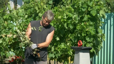 The gardener does mulch using branches shredder. Production of sawdust Stock Footage 65884024