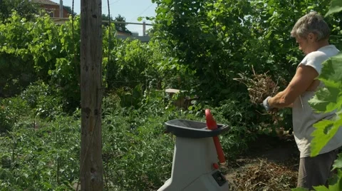 The gardener does mulch using branches shredder. Production of sawdust Stock Footage 65884723