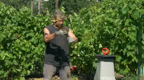 The gardener does mulch using branches shredder. Production of sawdust Stock Footage 65885421