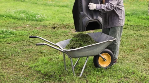 A gardener is dumping the cut grass into a wheelbarrow. Video stock 316081365
