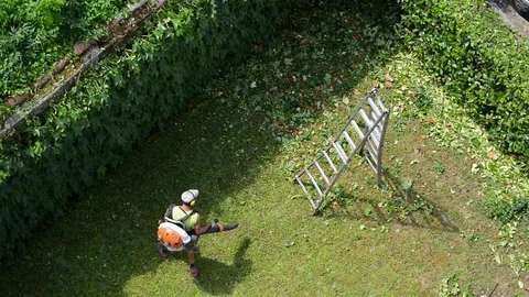 Gardener at the end of the cutting work cleans the lawn with a blower. Stock Footage 113695563