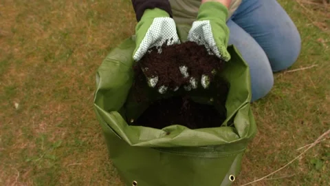 Gardener feeling soil compost in green grow bag Video stock 344235844