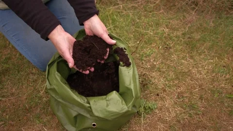 Gardener feeling soil compost in green grow bag Video stock 344690047