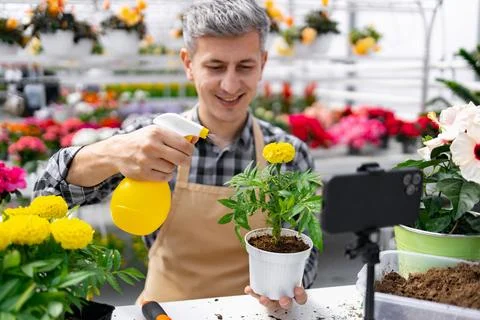Gardener Filming Plant Tutorial Stock Photos