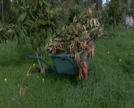 Gardener Stock Footage 601895