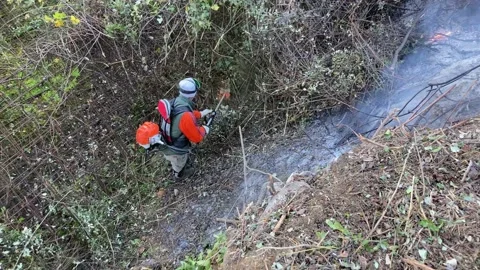 The gardener Stockbeeldmateriaal 147454985