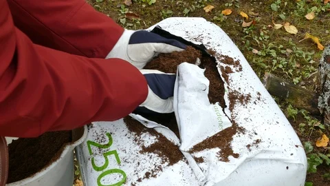 Gardener gets soil from open bag of peat Stock-Footage 118580536