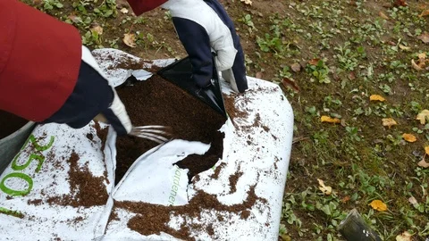Gardener gets soil from open bag of peat 스톡 동영상 118580656