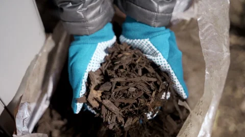 Gardener grab mulch with the pine bark and feed the plants near house. Видео 306410950