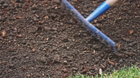 Gardener Grading Out Soil With A Rake. SLOW MOTION. Planting green grass lawn. Stock Footage 140367830