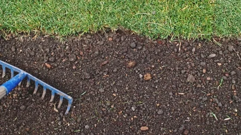 Gardener Grading Out Soil With A Rake. SLOW MOTION. Planting green grass lawn. Stock-Footage 140367853