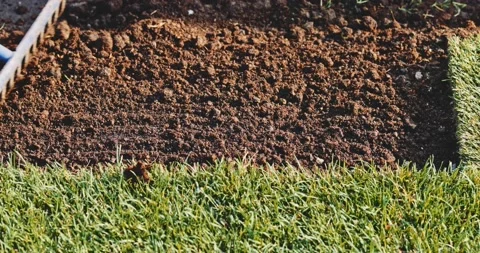 Gardener Grading Out Soil With A Rake. SLOW MOTION. Planting green grass lawn. Vidéo 140369256