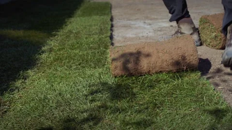 Gardener hands installing fresh turf rolls for landscaping in backyard garden Stock Footage 334826681