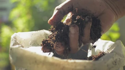 Gardener holding and crushing organic compost soil to test the quality. Stock Footage