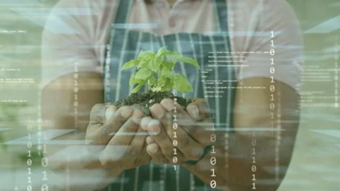 Gardener holding seedling frames starting and projecting code overlays revealing 動画素材 333221429