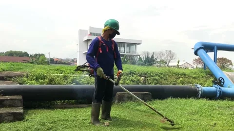 Gardener with lawn mower Видео 221885706