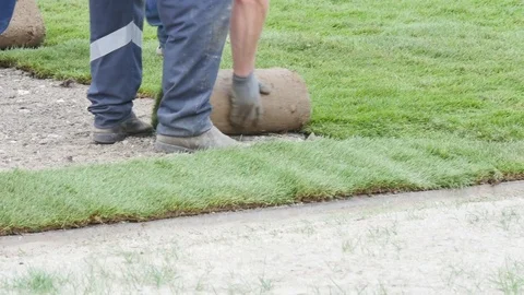 The gardener laying the grass in the park Stock Footage