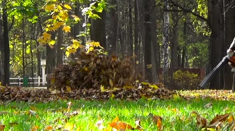 Gardener with a leaf blower in the park Stockbeeldmateriaal 54741590