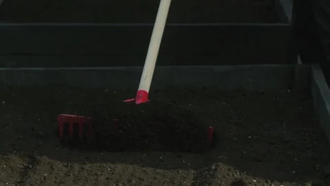 Gardener leveling soil in raised beds with a red rake for planting Stock Footage 331474698