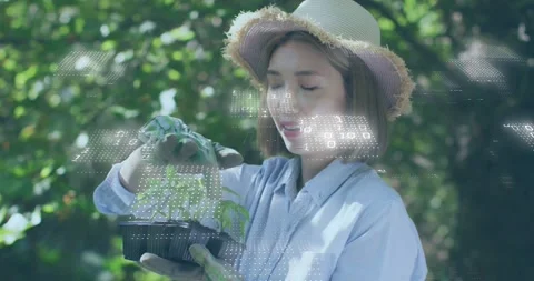 Gardener lifting seed tray, checking seedling health, moving plants, with data Stock Footage 329788254