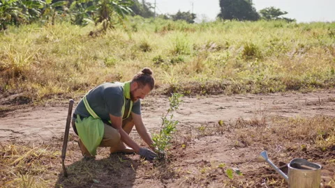 A gardener man in work gloves and rubber boots planted a tree and sprinkled it Stock Footage 221539903