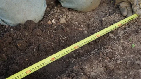 Gardener measures the width of the bed with a tape measure. Stock Footage 274791188
