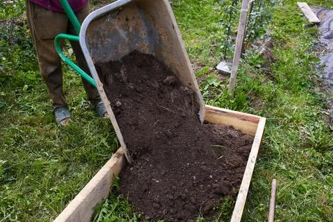 Gardener moves soil using a wheelbarrow in a garden during daytime Stock Photos