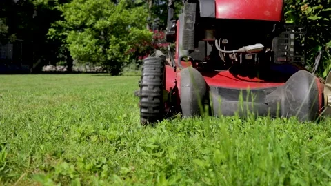 Gardener mowing the grass in the backyard. Stock Footage 131629535
