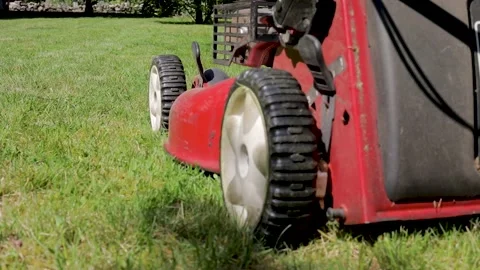 Gardener mowing the grass in the backyard. Stock Footage 131629787