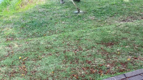 Gardener mowing a green lawn with a string trimmer machine. Stock Footage 320504300