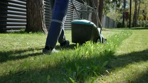 The gardener mows the lawn Stock Footage 239931038